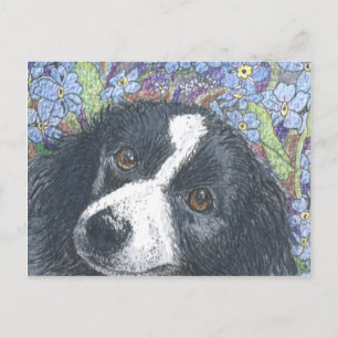"Vergeet me niet", zei de Border Collie. Briefkaart