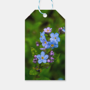 Vergeet-me-nots in de regen cadeaulabel
