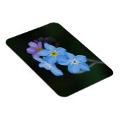 Vergeet-me-Nots Magnet Magneet (Rechterzijde)