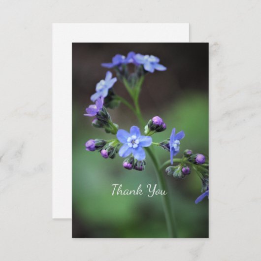 Vergeet-mij-nietje bedankkaart (Voorkant / Achterkant)