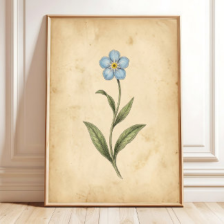 Vergeet-mij-nietje Vintage Bloemkunst Poster