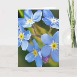 Vergeet-mij-nietjes bloemen romantisch dank je wel bedankkaart