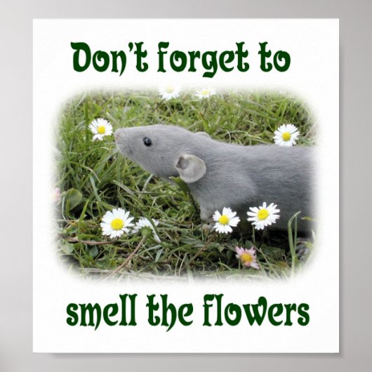 Vergeet niet de bloemen te ruiken poster (Voorkant)