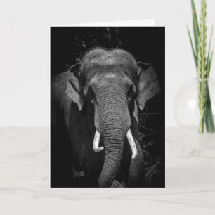 Vergeet nooit een verjaardag kaart