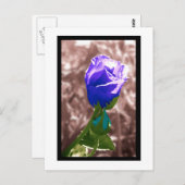 vergeetachtigheid briefkaart (Voorkant / Achterkant)