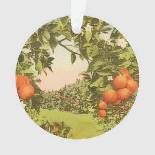 Verger d'orange vintage