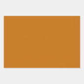 Verger espagnol - motif d'oranges et feuille (Devant 2)