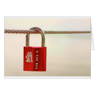 Vergrendeling van de liefde