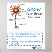Vergroot uw hersenneuronen Brainology® Poster (Voorkant)