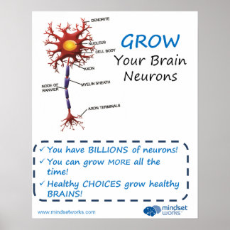 Vergroot uw hersenneuronen Brainology® Poster