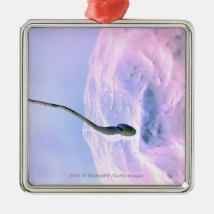 Vergrote blik op een sperma dat een ei bevrucht metalen ornament