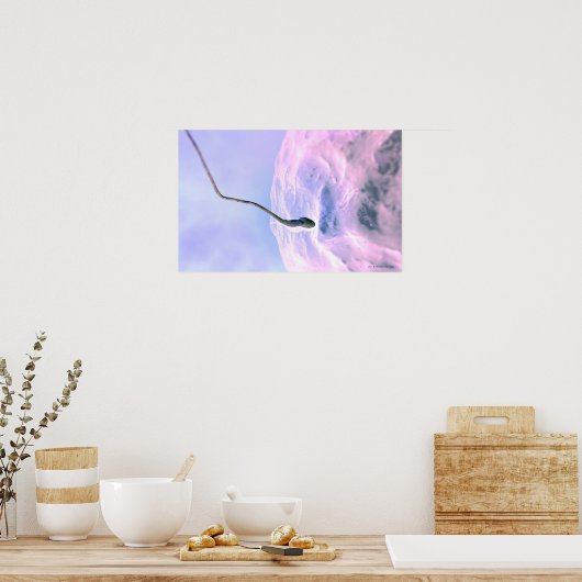 Vergrote blik op een sperma dat een ei bevrucht poster (Keuken)