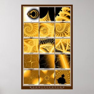 Vergroting - Sinaasappel Poster