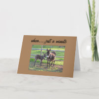 VERHAAL BIRTHDAY VAN SOMMIGE KOOLMULES