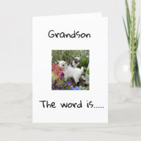 VERHAAL VERDAG VOOR U **GRANDSON** KAART