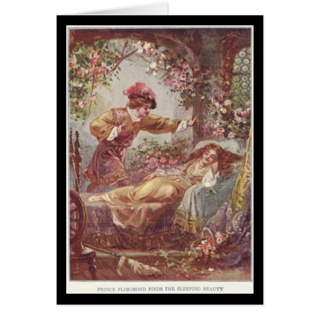  verhaalkunst uit slaapschoonheid (Voorkant)