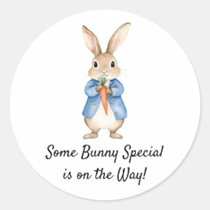 Verhaaltjes Konijn Tuinfeest Baby Shower Ronde Sticker