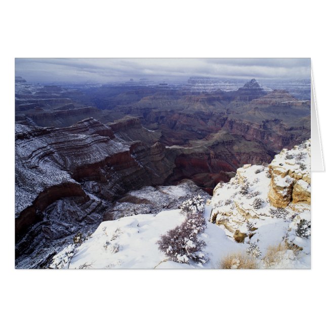 verhoogd uitzicht (Voorkant Horizontaal)