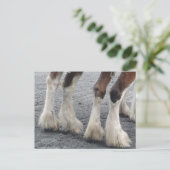 Verhoogde Feet Briefkaart (Staand voorkant)