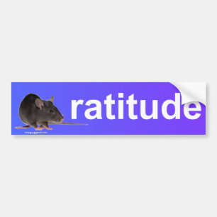 verhouding bumpersticker