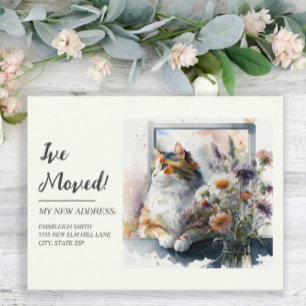 Verhuisbericht Schattige Calico Kat Madeliefjes La Briefkaart