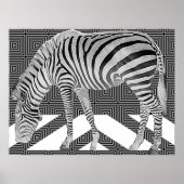 Véritable affiche Zebra (Devant)