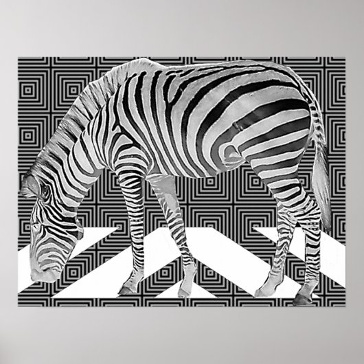 Véritable affiche Zebra (Devant)