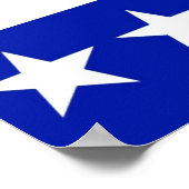 Véritable changement Obama Biden affiches (Coin)