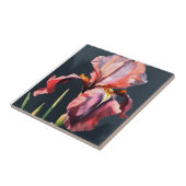 Véritable lumière Pastel Crimson rose Iris carreau (Côté)