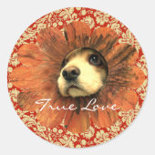 Véritable Sticker d'amour Puppy Peeking à partir d (Devant)