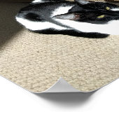 Vérité sur les chats Poster de mèmes (Coin)