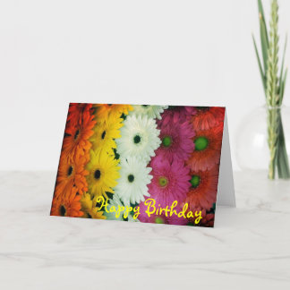 Verjaardag card~ Kleurrijke Gerbera Daisy Kaart