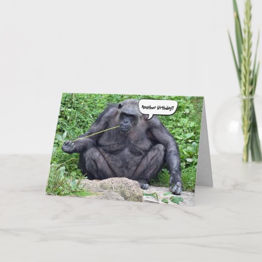 Verjaardag Chimpansee humor Kaart (Voorkant)