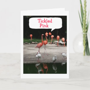 VERJAARDAG COMPLIMENT FLAMINGO'S ZIJN "GEKIETELD R KAART