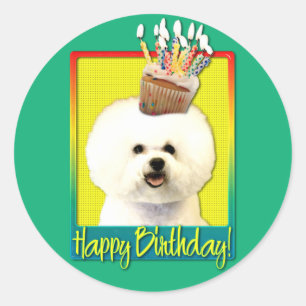 Verjaardag Cupcake - Bichon Frise Ronde Sticker