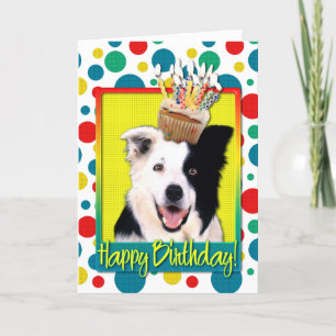 Verjaardag Cupcake - Border collie Kaart