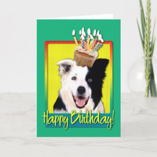 Verjaardag Cupcake - Border collie Kaart