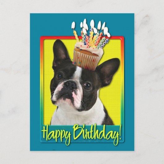 Verjaardag Cupcake - Boston Terrier Briefkaart (Voorkant)