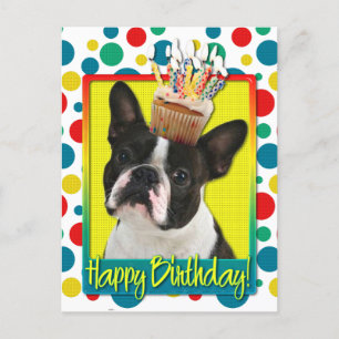 Verjaardag Cupcake - Boston Terrier Briefkaart