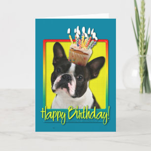 Verjaardag Cupcake - Boston Terrier Kaart