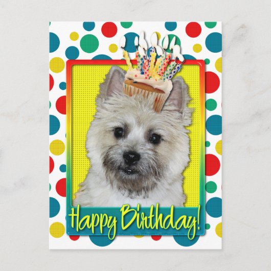 Verjaardag Cupcake - Cairn Terrier - Teddybeer Briefkaart (Voorkant)
