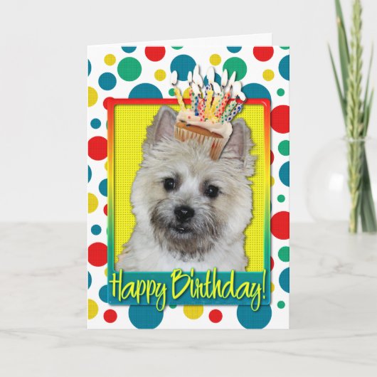 Verjaardag Cupcake - Cairn Terrier - Teddybeer Kaart (Voorkant)