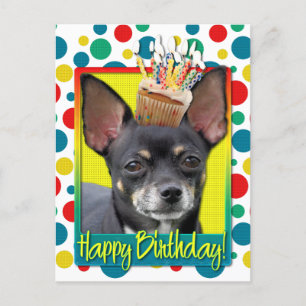 Verjaardag Cupcake - Chihuahua - Isabella Briefkaart