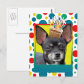 Verjaardag Cupcake - Chihuahua - Isabella Briefkaart (Voorkant / Achterkant)