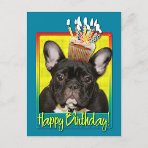 Verjaardag Cupcake - Franse Bulldog - Blauwgroen Briefkaart