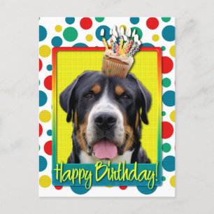 Verjaardag Cupcake - Greater Swiss Mountain Dog Briefkaart