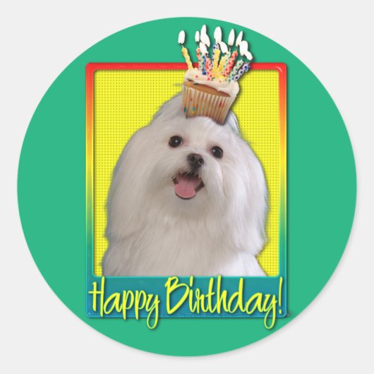 Verjaardag Cupcake - Maltees Ronde Sticker (Voorkant)