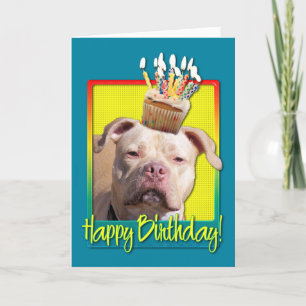 Verjaardag Cupcake - Pitbull - Jersey Meisje Kaart