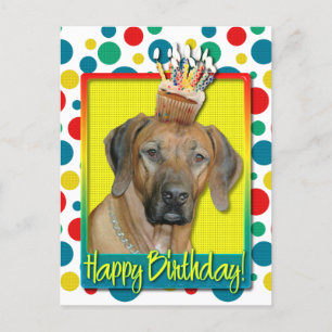 Verjaardag Cupcake - Rhodesian Ridgeback Briefkaart