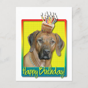 Verjaardag Cupcake - Rhodesian Ridgeback Briefkaart